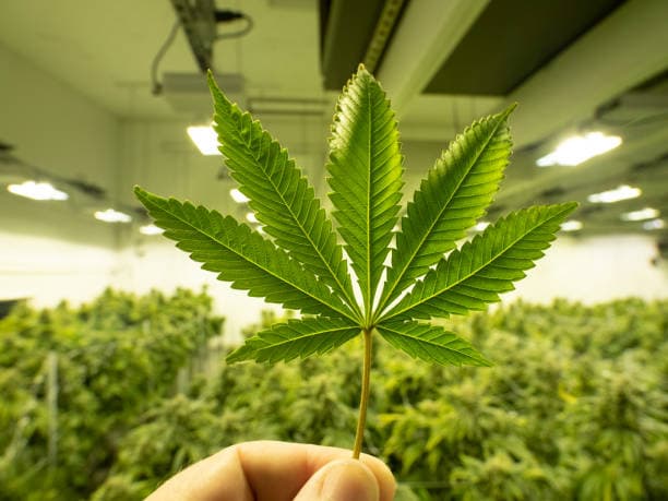 Air Filters: Are They All The Same And Which Type Should You Buy