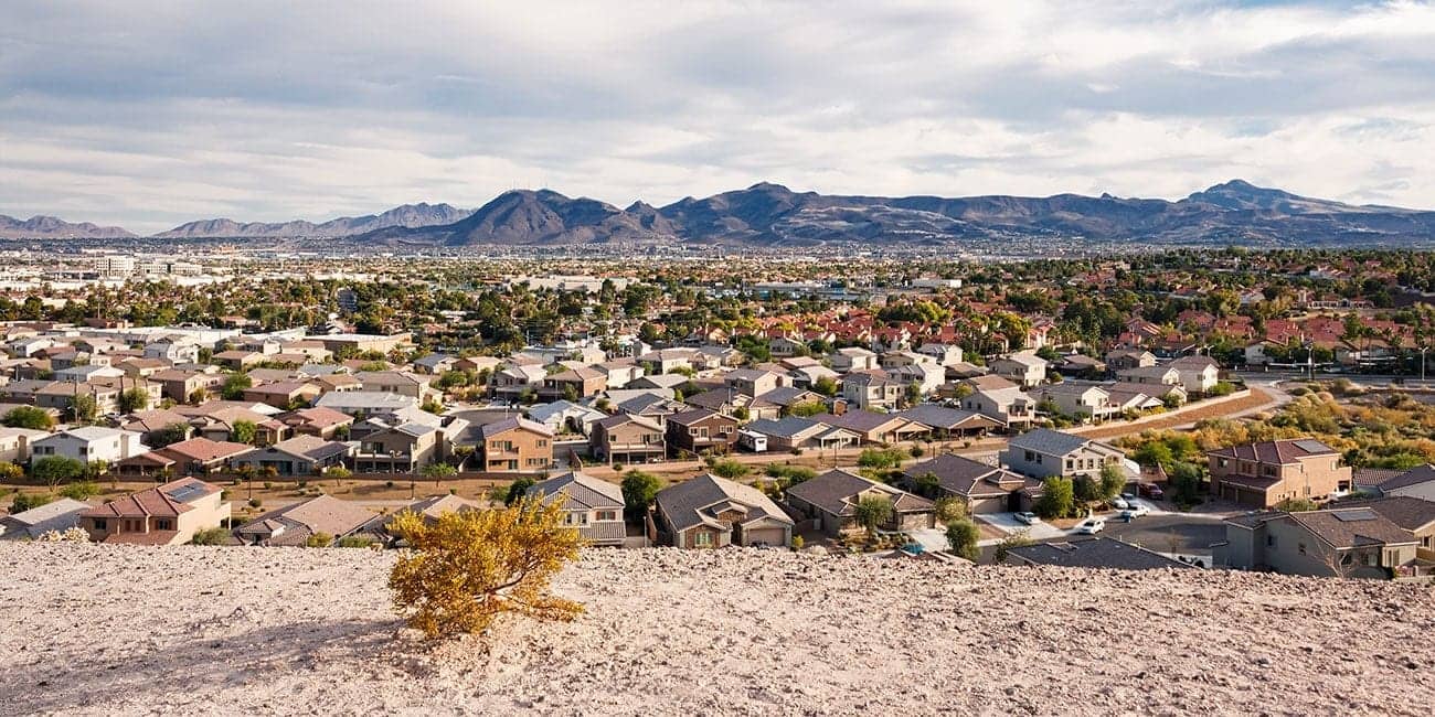 How to Prevent Mold in Your Grow Room with Effective HVAC Solutions