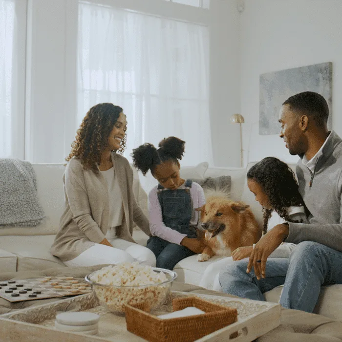 Profe Installation — The Cooling Company